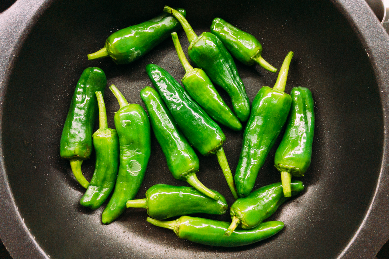 pimentos padron